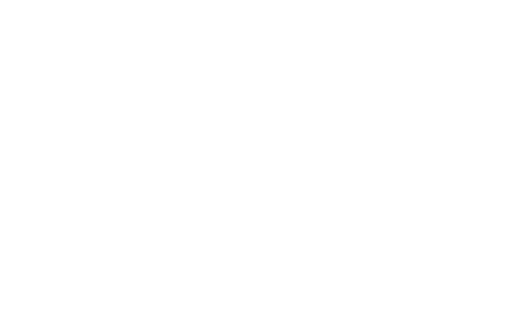 Логотип Express Nails